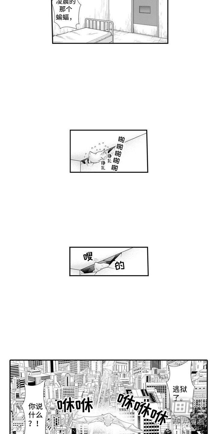 第12章：越狱