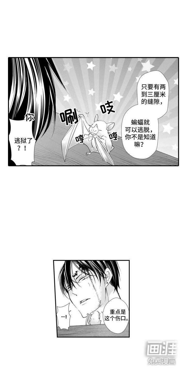 第13章：重逢