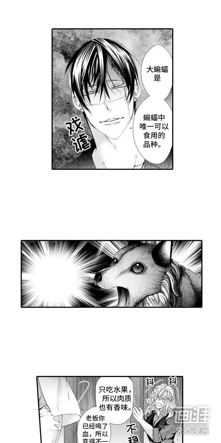 第15章：大蝙蝠汤