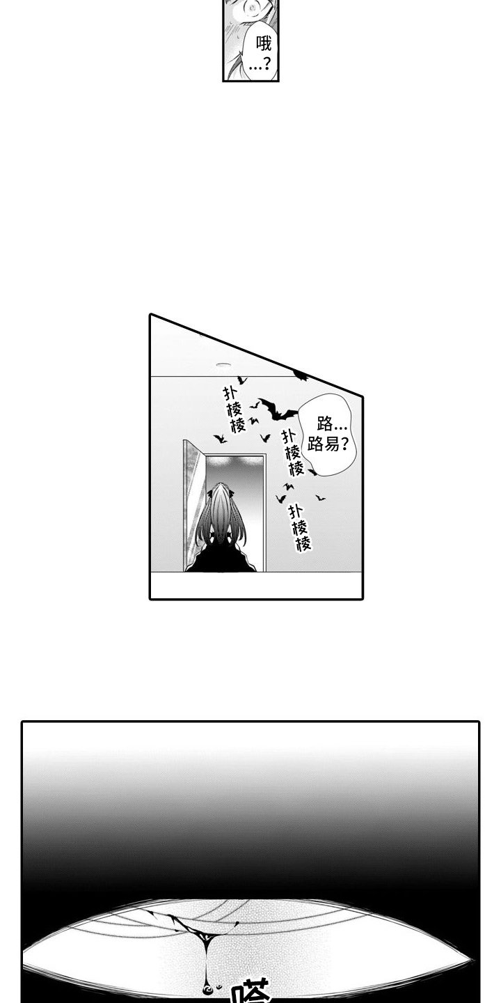 第3章：另一个路易