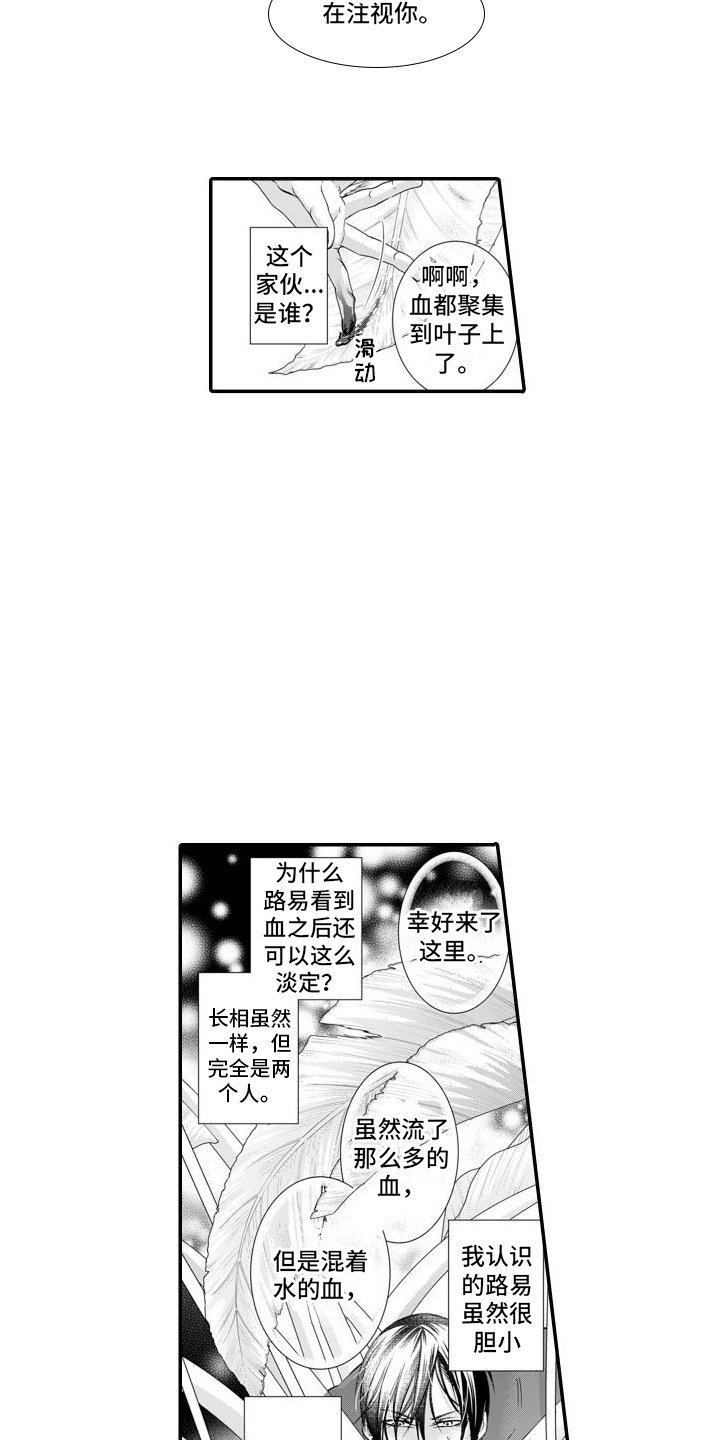 第3章：另一个路易