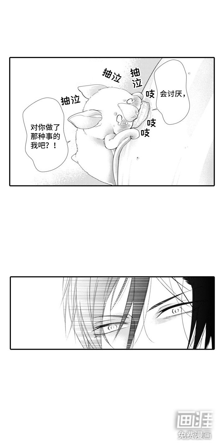 第7章：转化