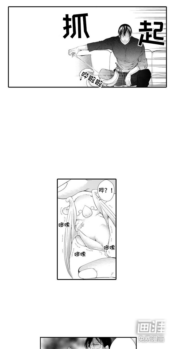 第7章：转化