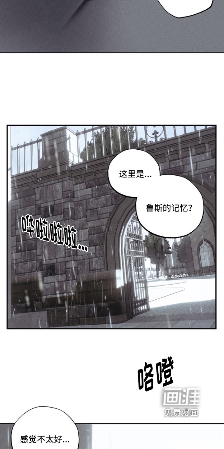 第14章：我爱的天使：带出记忆