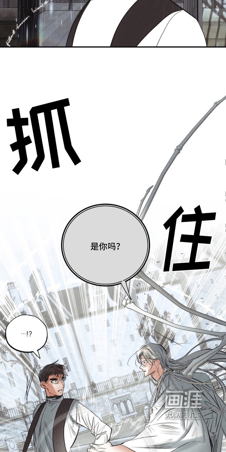 第14章：我爱的天使：带出记忆