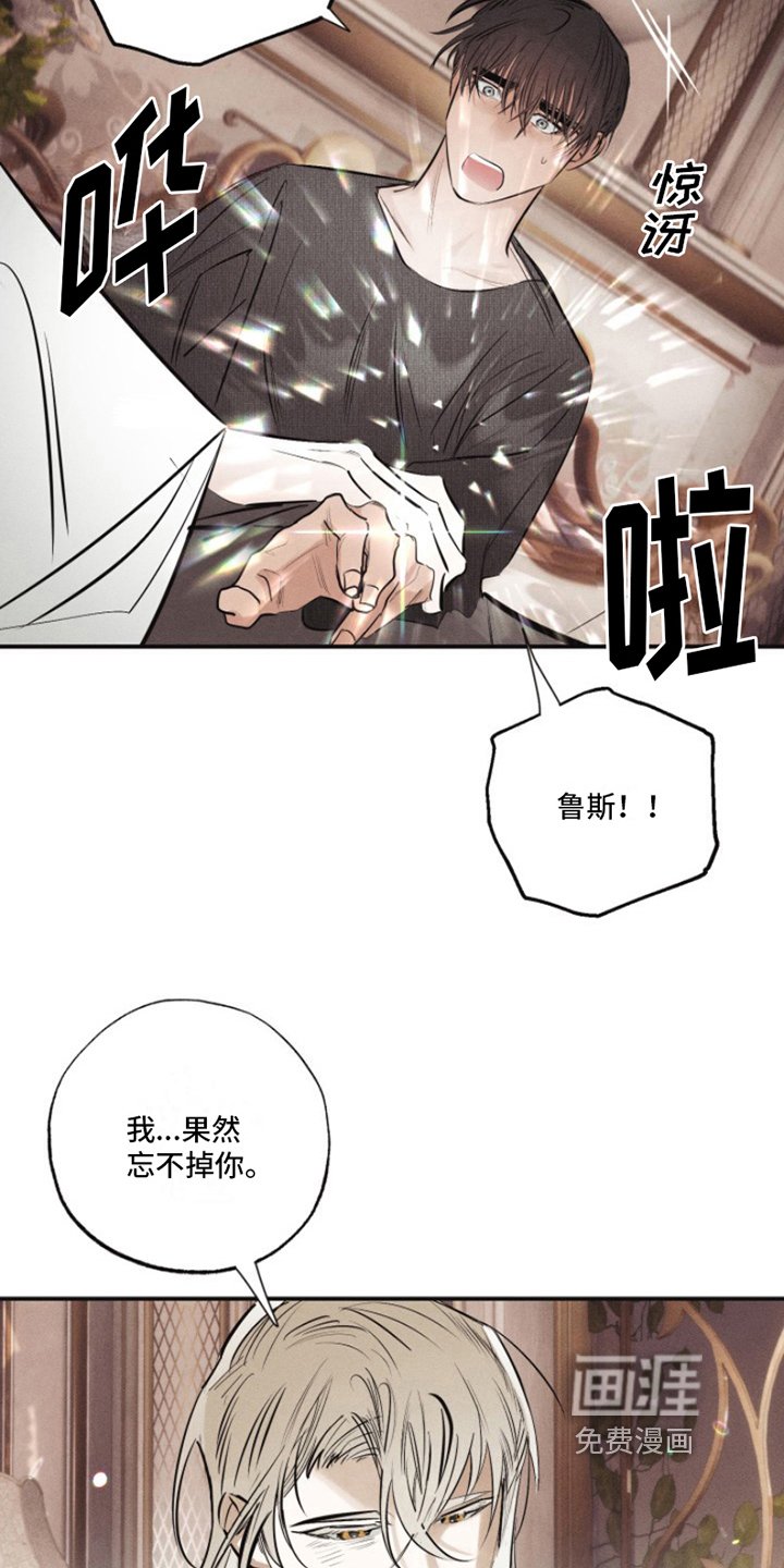 第16章：我爱的天使：雨停了（完）