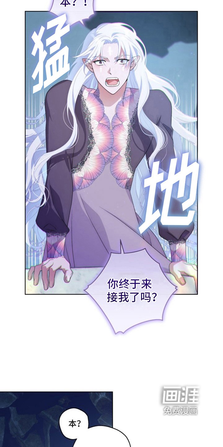 第17章：最美丽的宝物：冒险