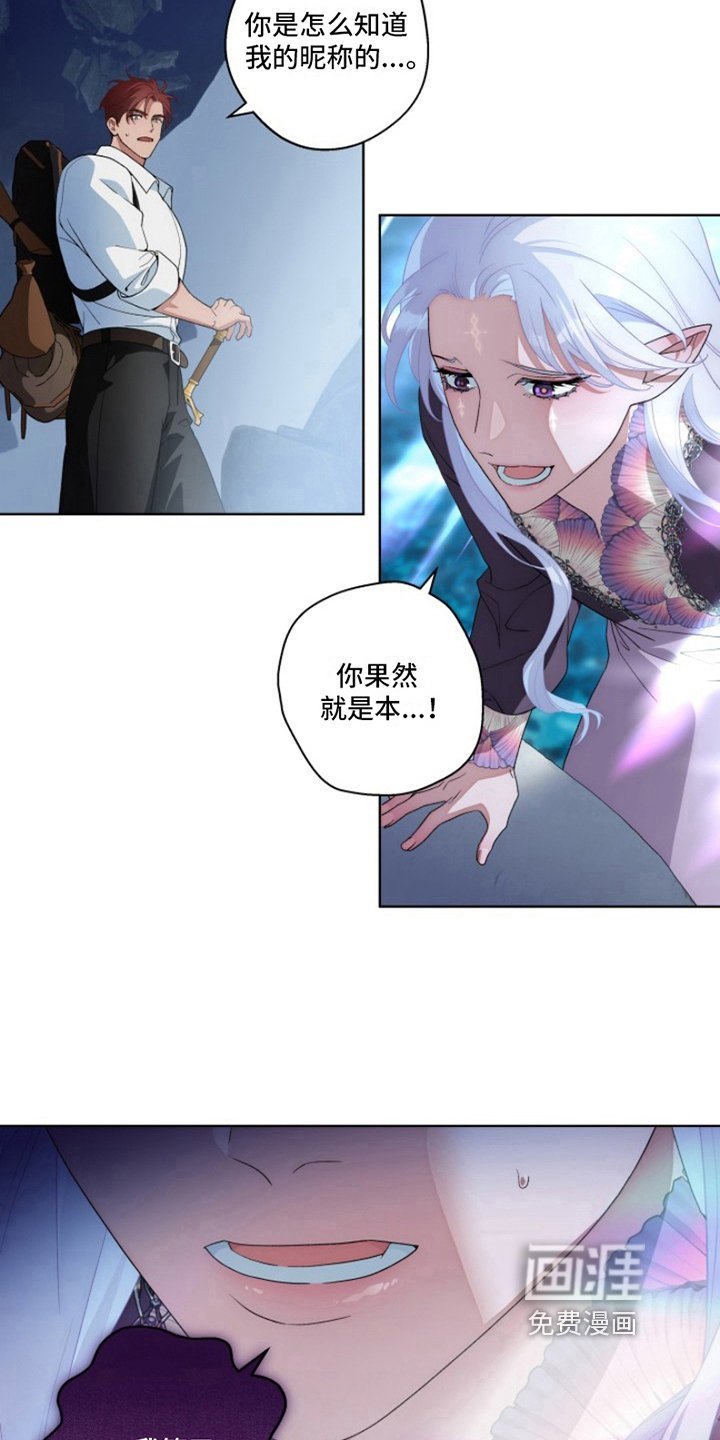 第17章：最美丽的宝物：冒险