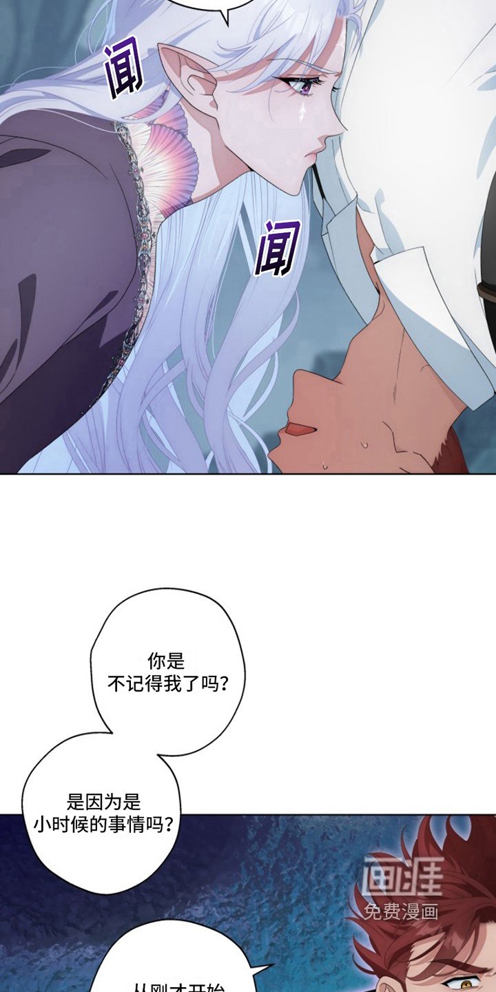 第17章：最美丽的宝物：冒险