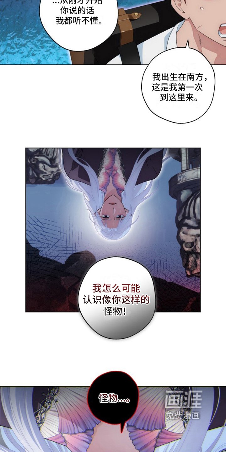 第17章：最美丽的宝物：冒险