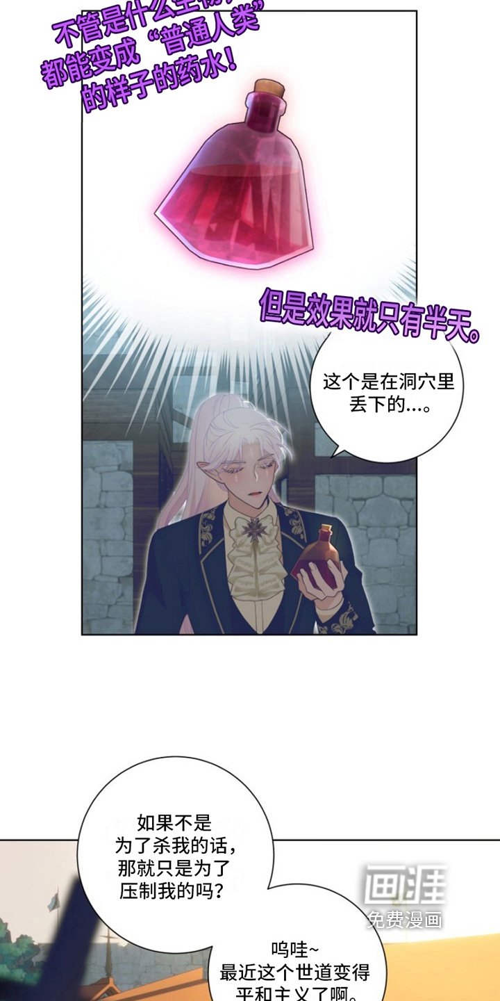 第19章：最美丽的宝物：委托