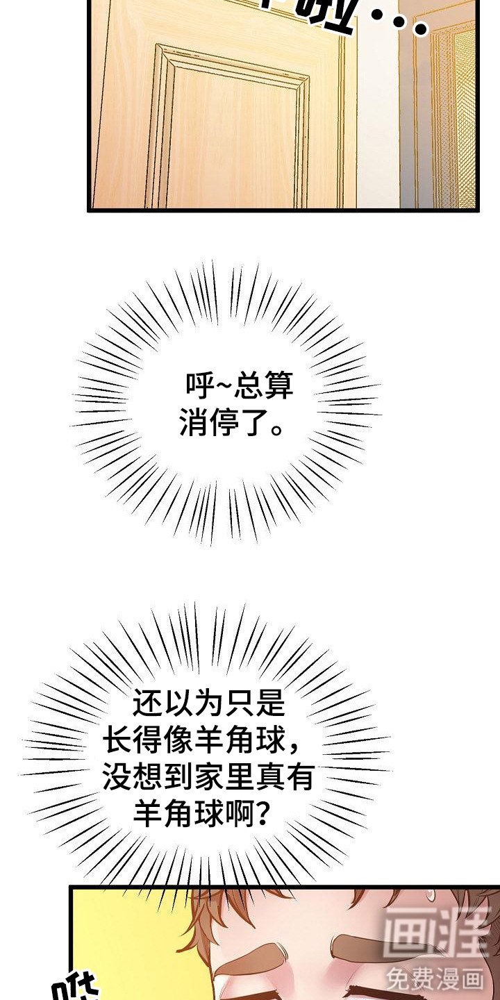 第14章：羊角球