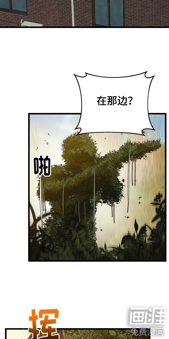 第16章： 运动场