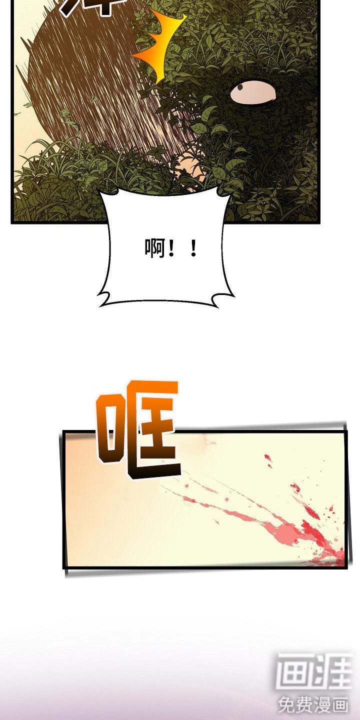 第16章： 运动场