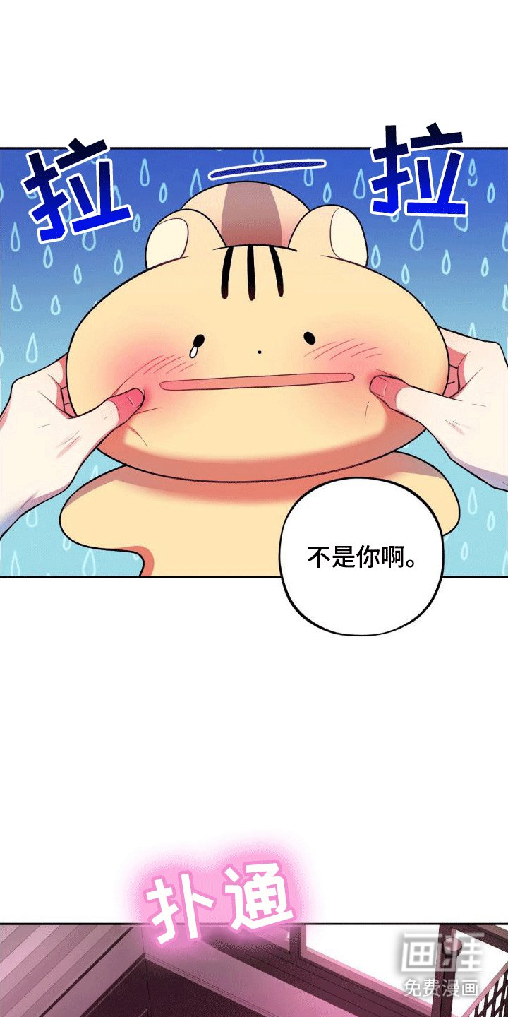 第6章：任务奖励