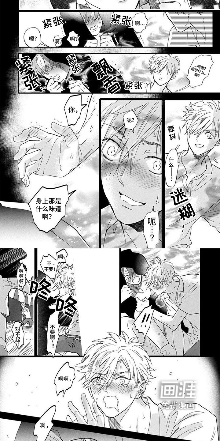 第8章：喜欢的人