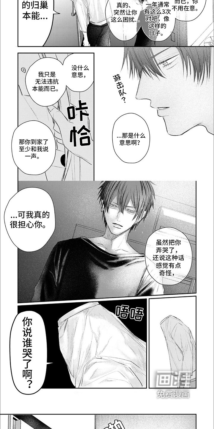 第12章：不该说谎
