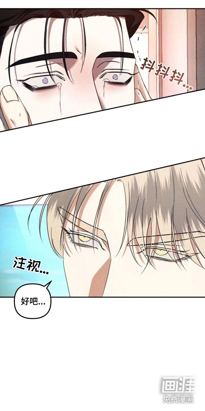 第12章：劣等标记：特别的关系（完）