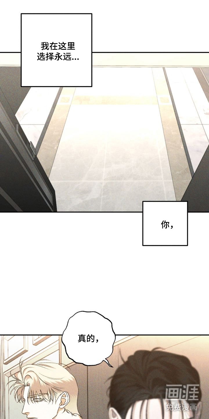 第12章：劣等标记：特别的关系（完）