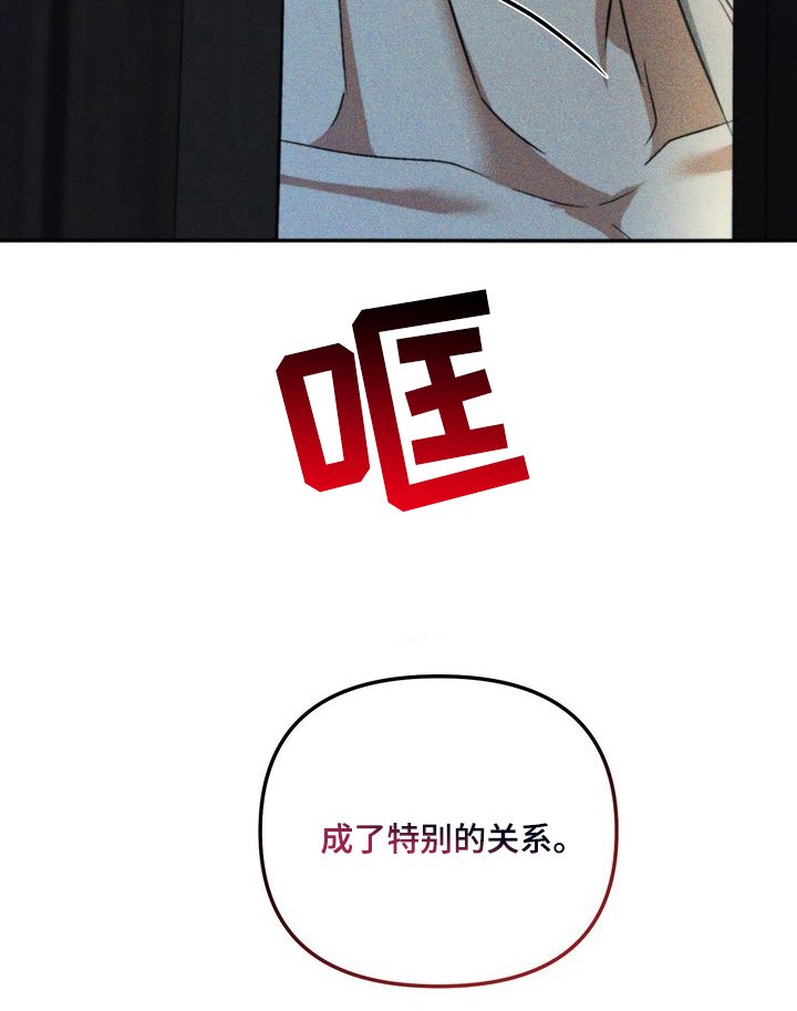 第12章：劣等标记：特别的关系（完）