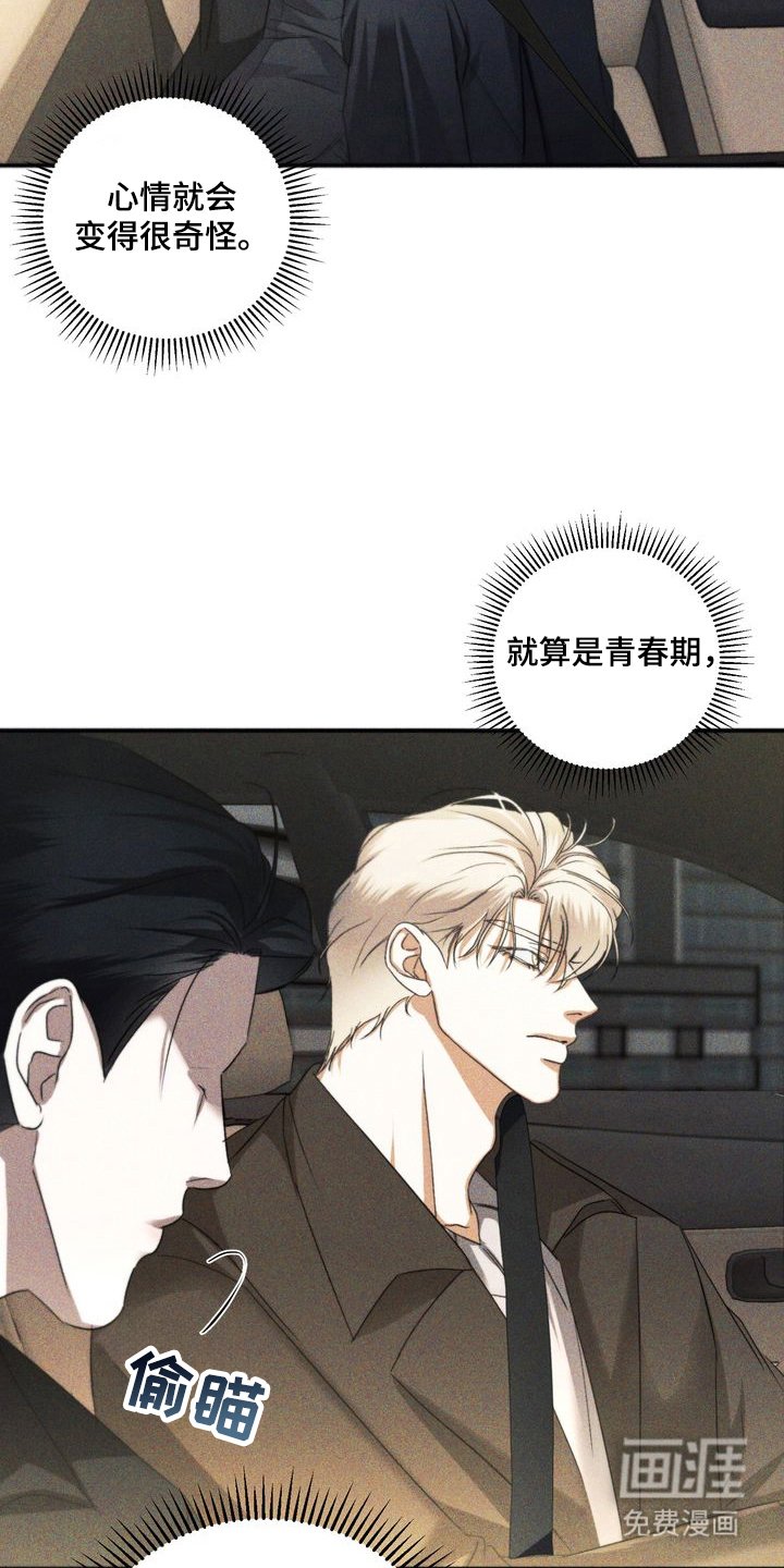 第2章：劣等标记 ：回来