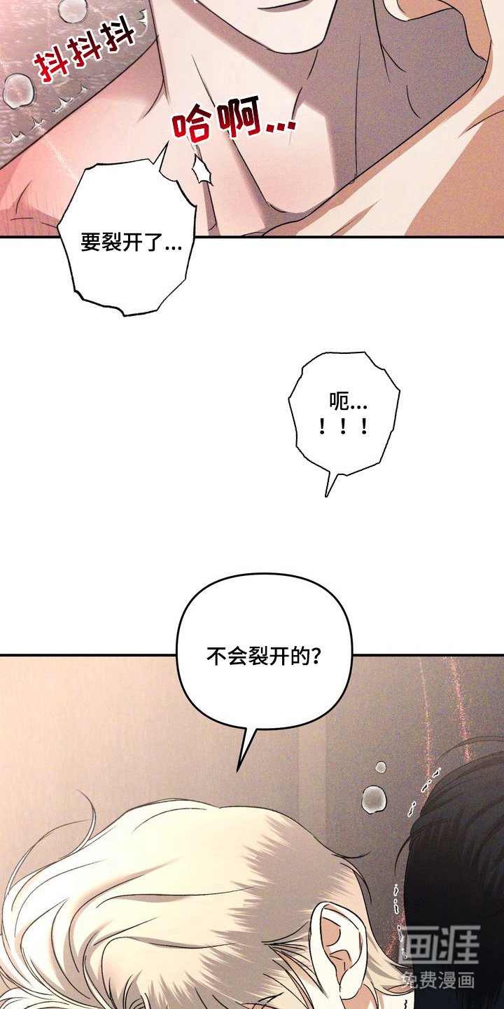 第5章：劣等标记：是哪一个