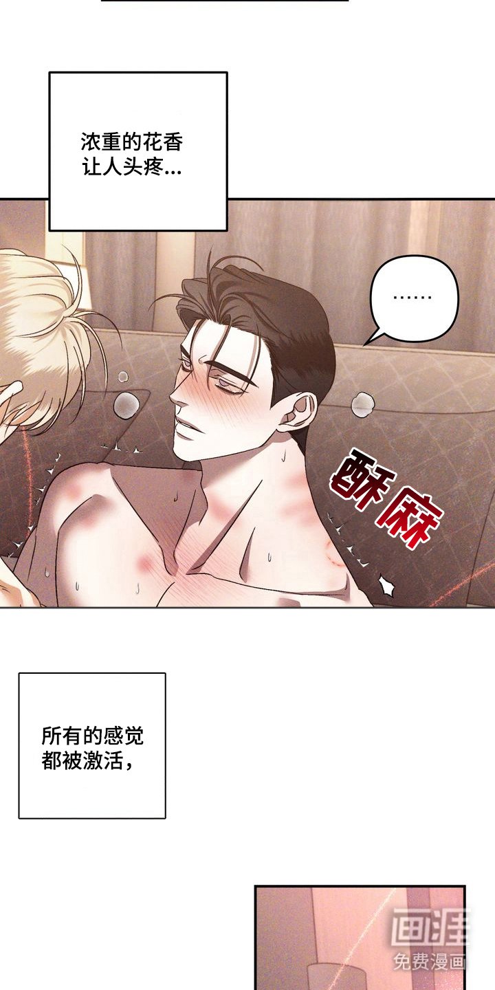 第5章：劣等标记：是哪一个