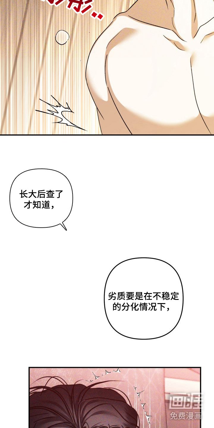 第6章：劣等标记：我造成的