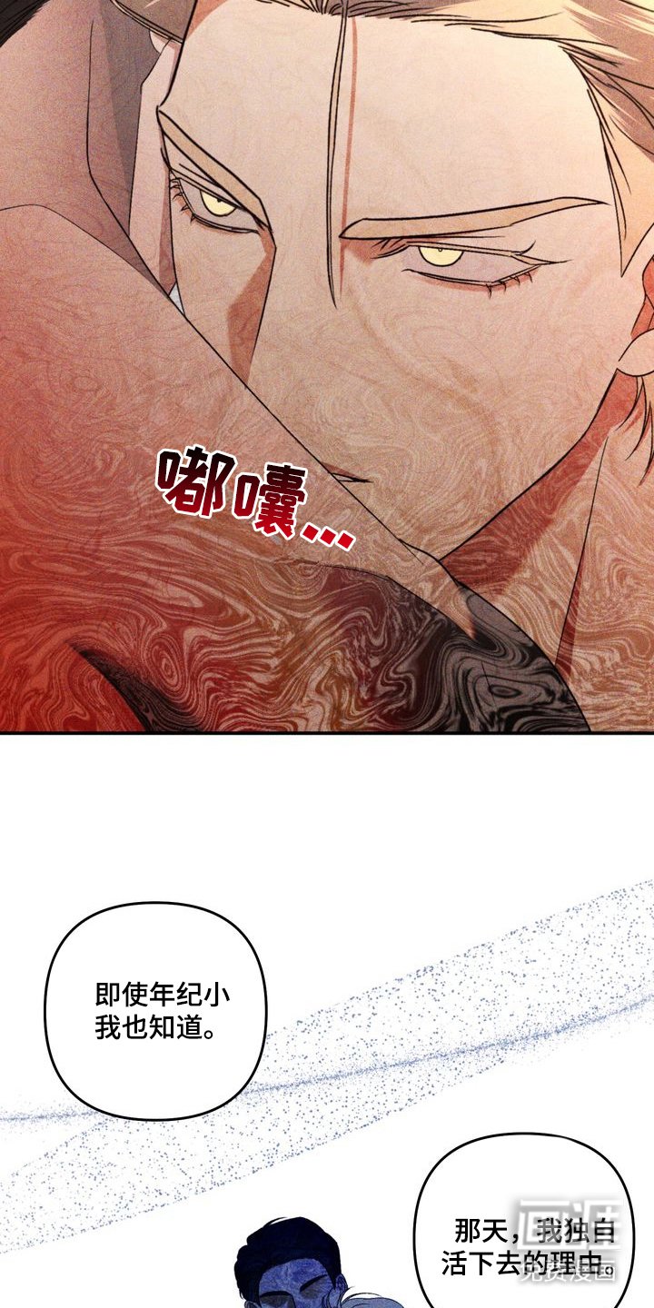 第8章：劣等标记：理由