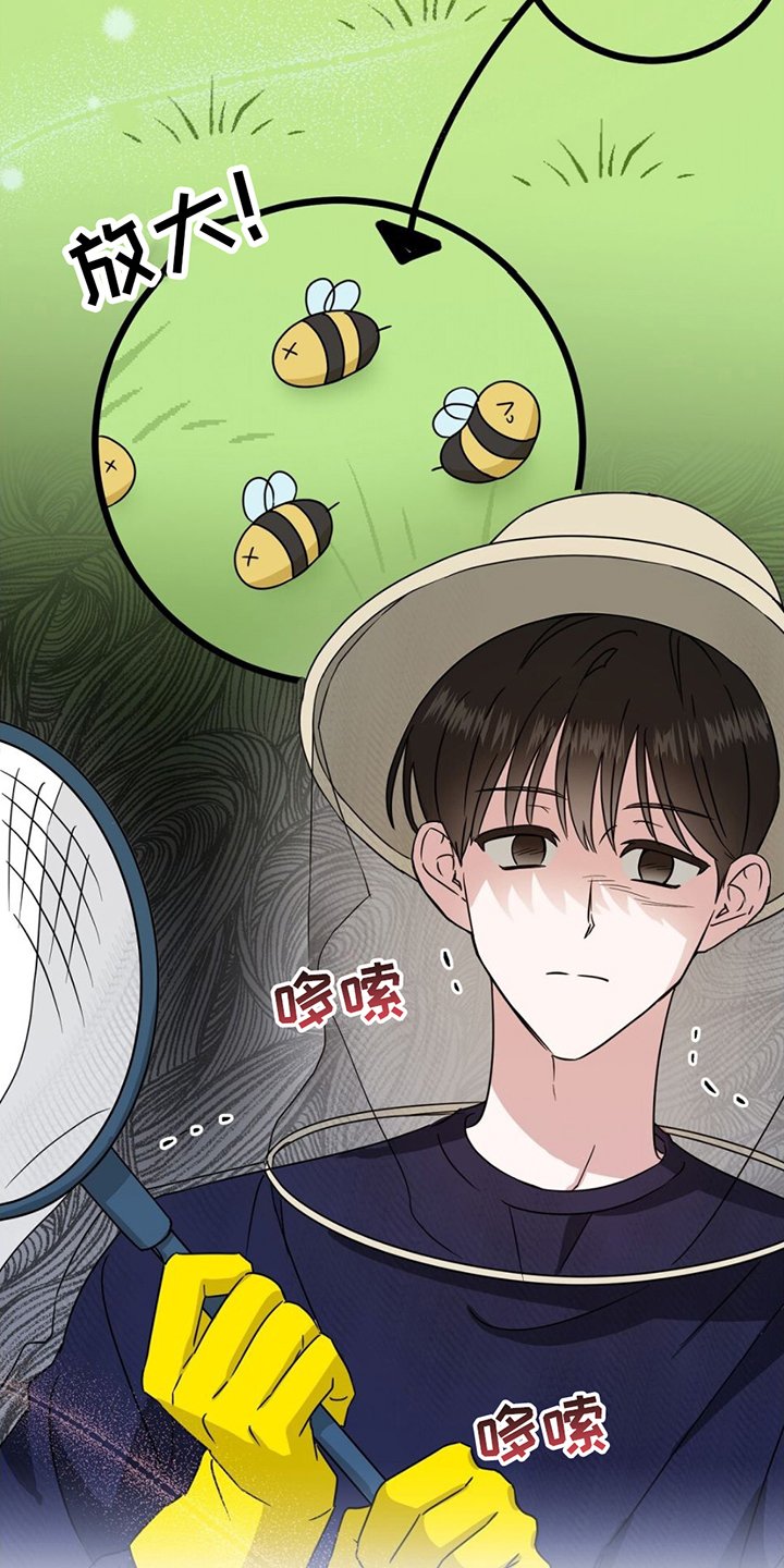 第1章：养蜂人