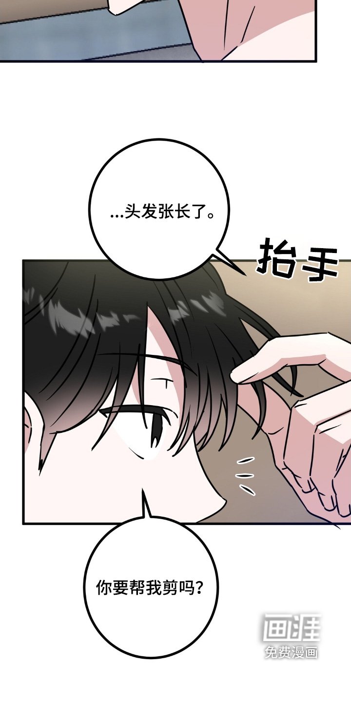 第111章：有什么关系