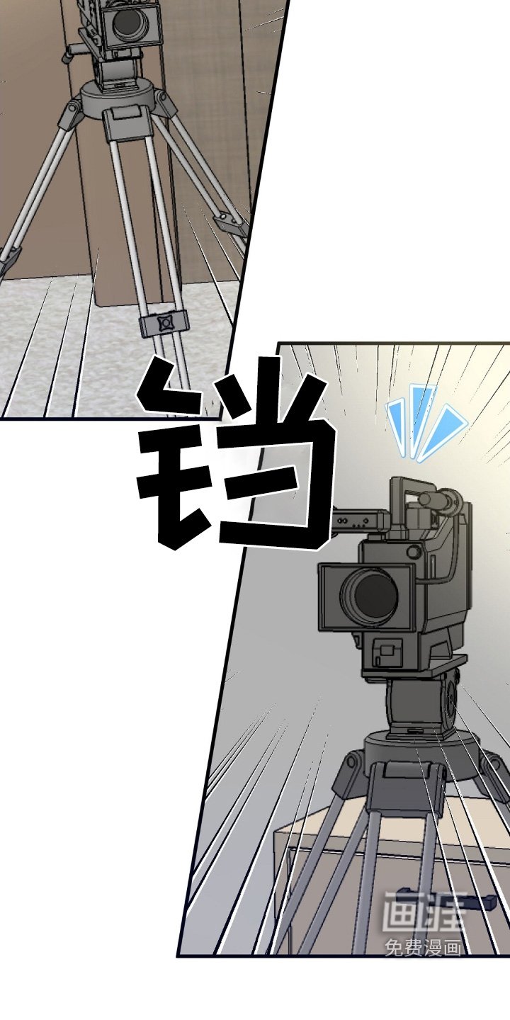 第111章：有什么关系