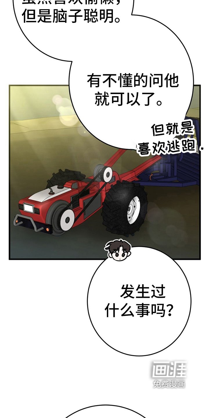第12章：警惕