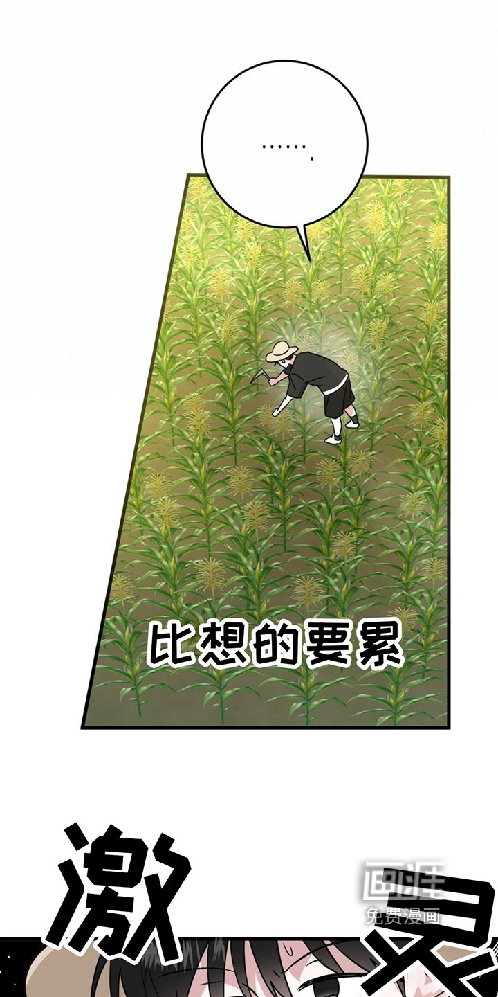 第12章：警惕