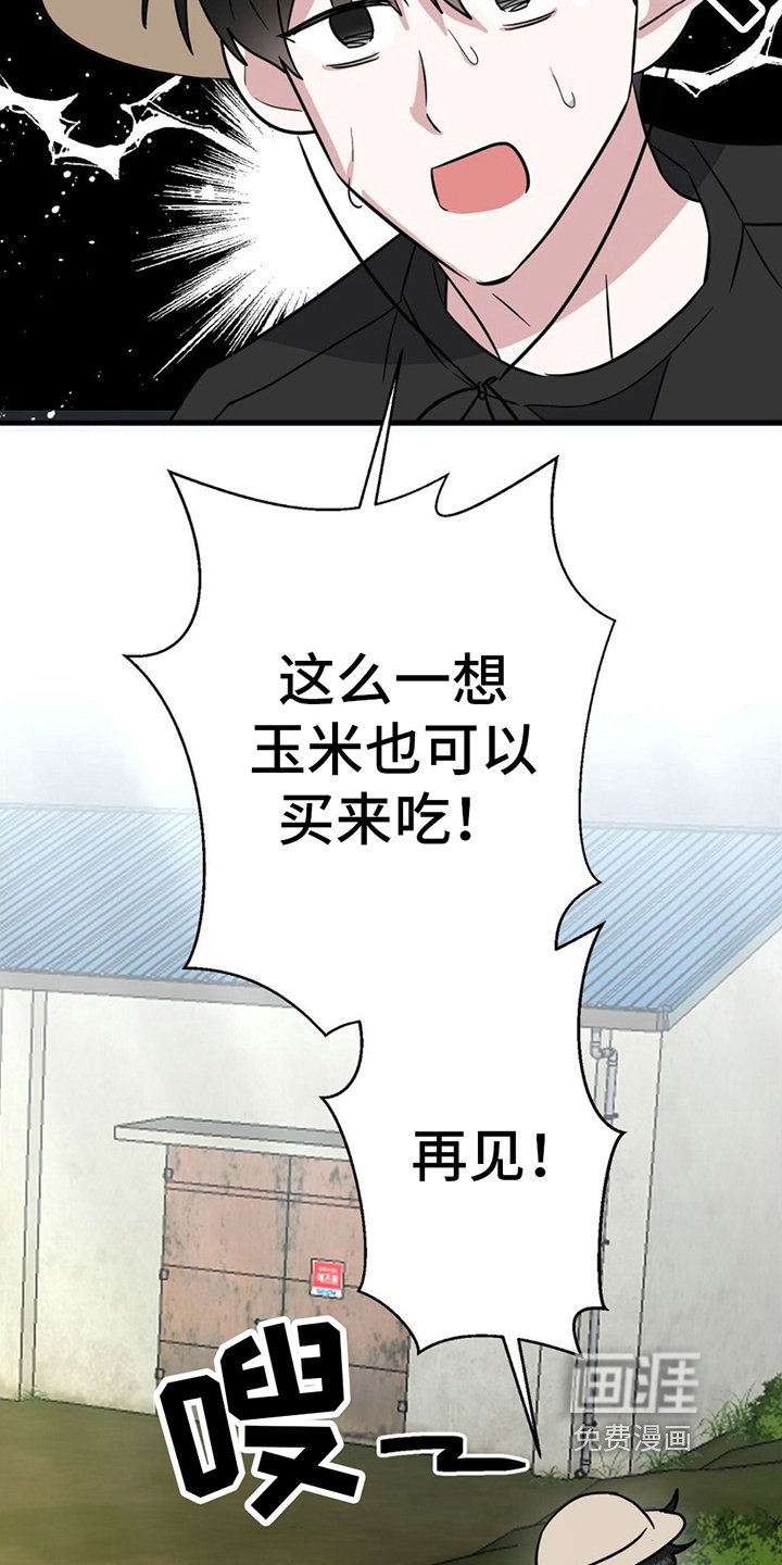 第12章：警惕