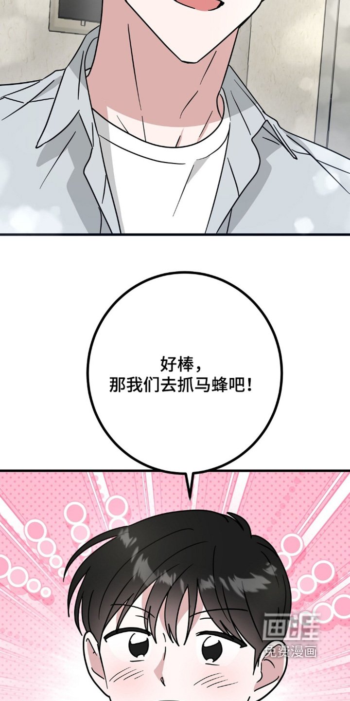 第121章：抓马蜂