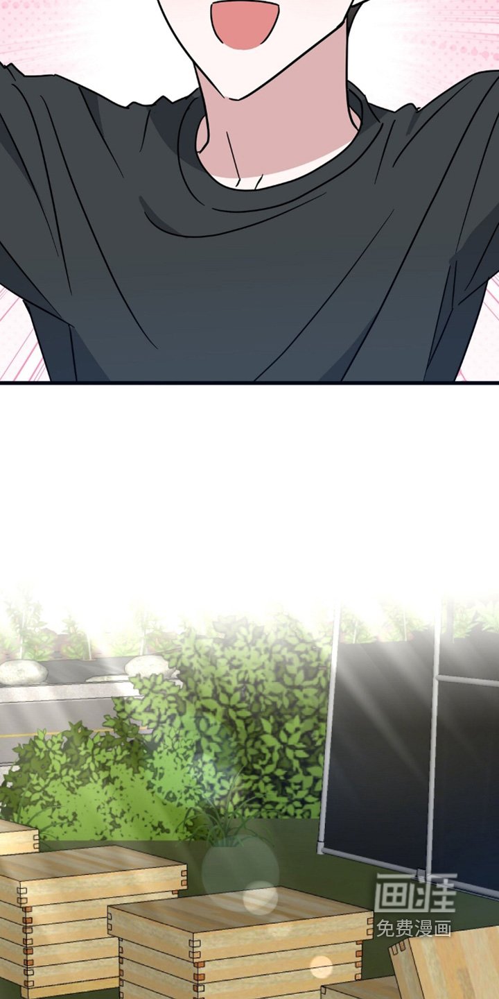 第121章：抓马蜂