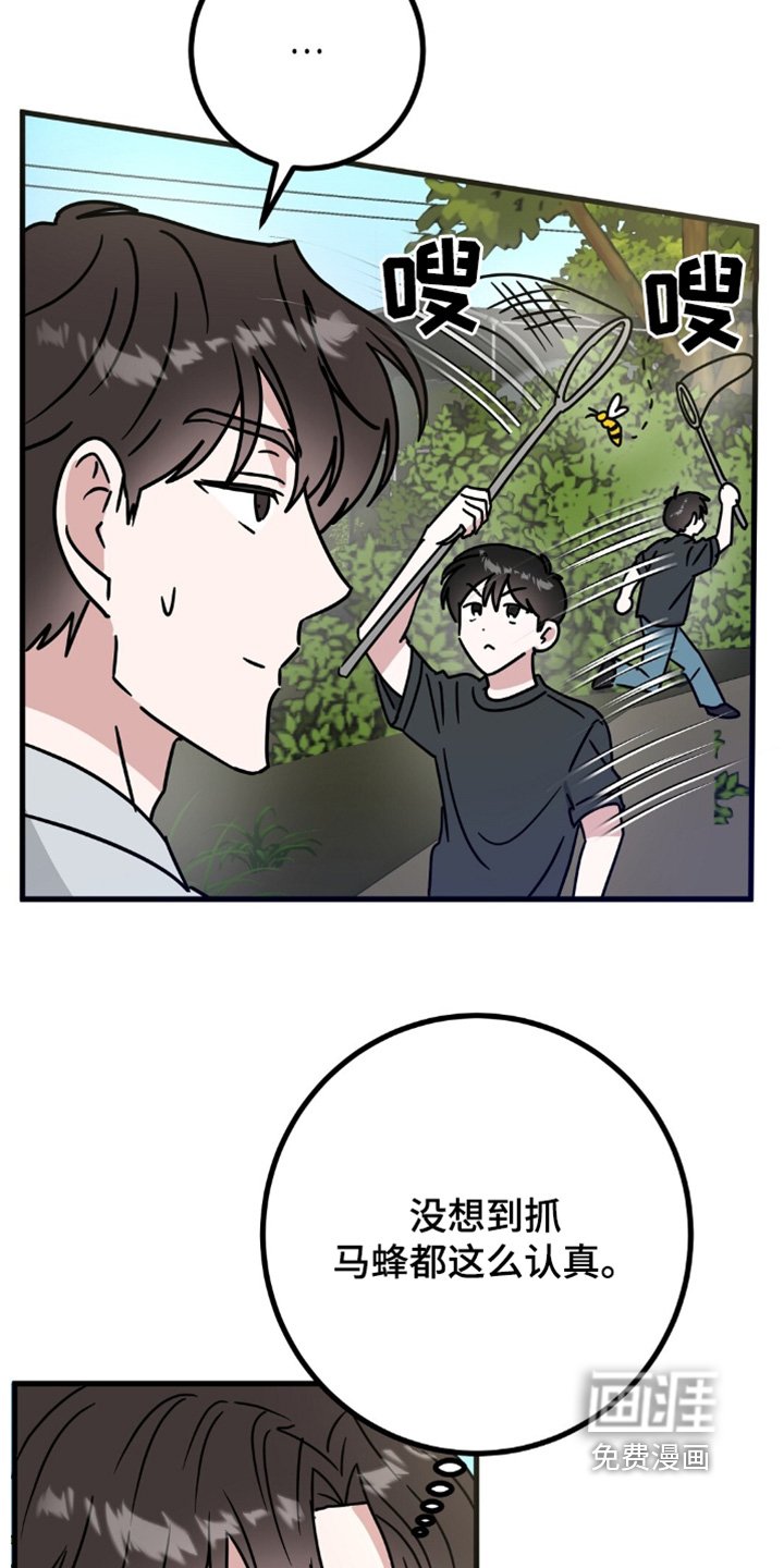 第121章：抓马蜂