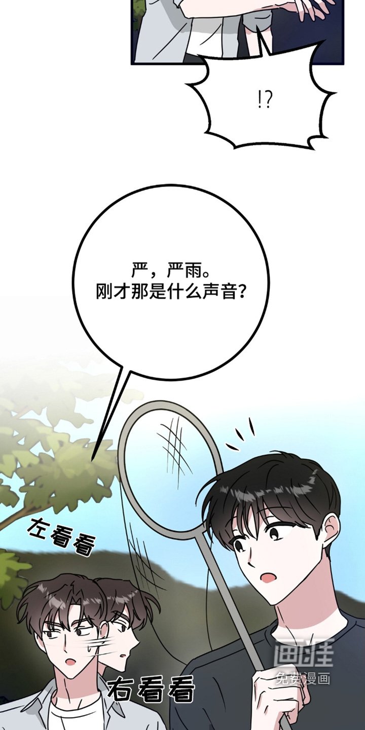 第121章：抓马蜂