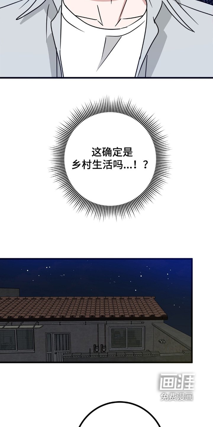 第121章：抓马蜂