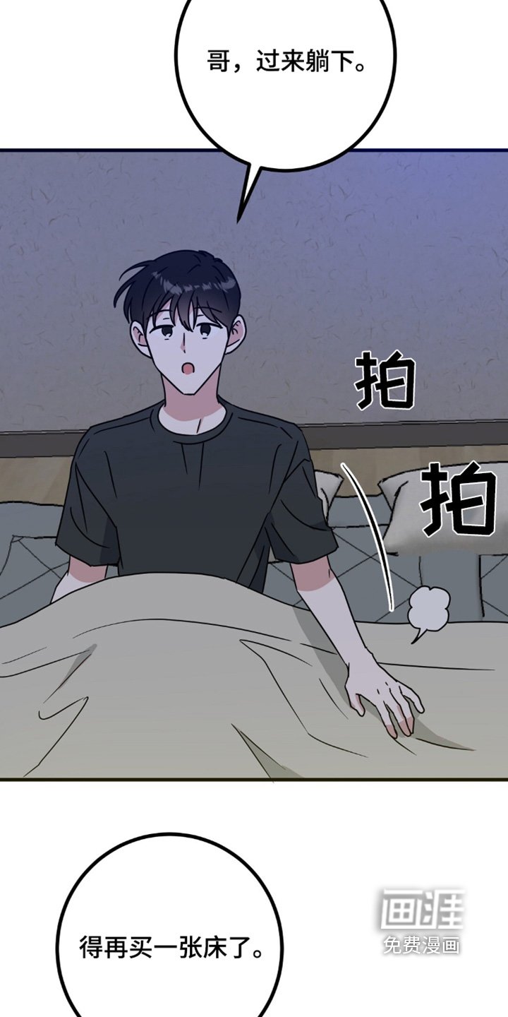 第121章：抓马蜂