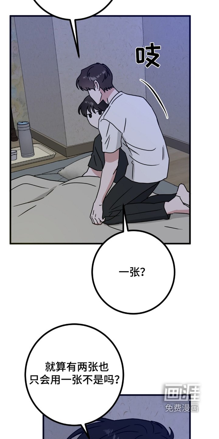 第121章：抓马蜂