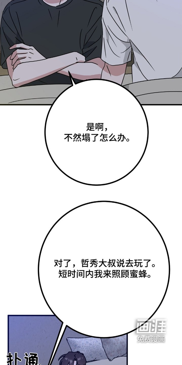 第121章：抓马蜂