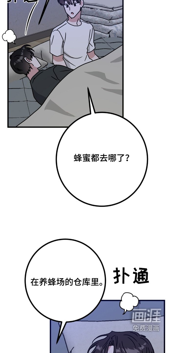 第121章：抓马蜂