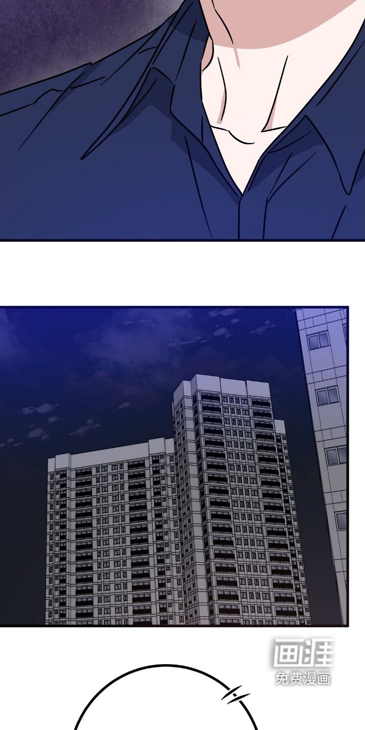 第126章：回来了