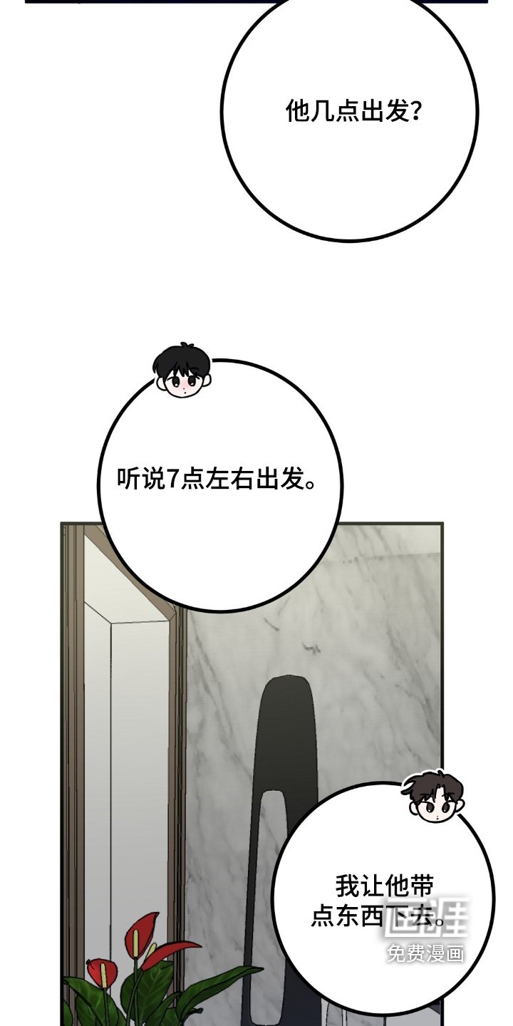 第126章：回来了