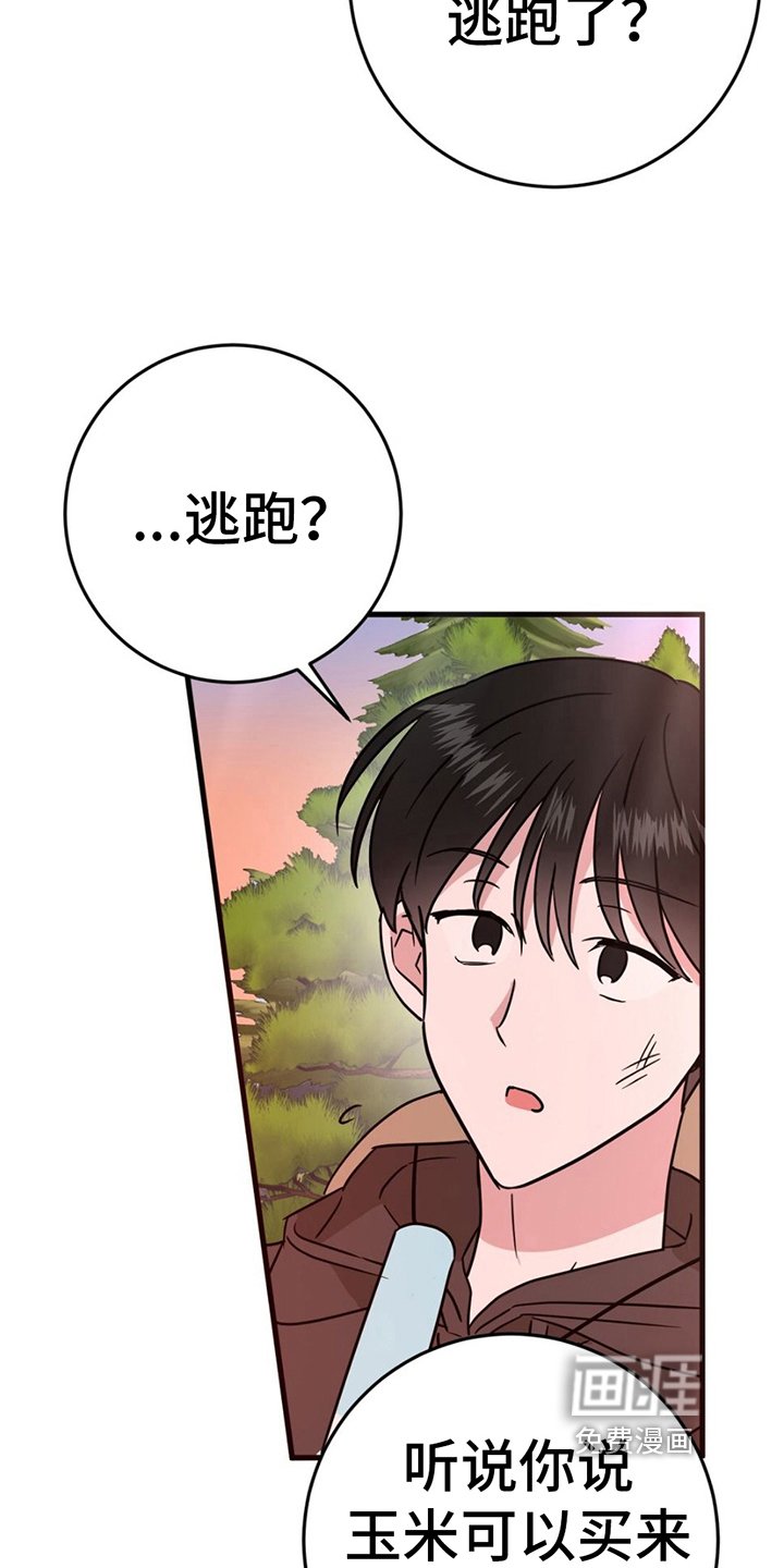 第13章：拍照