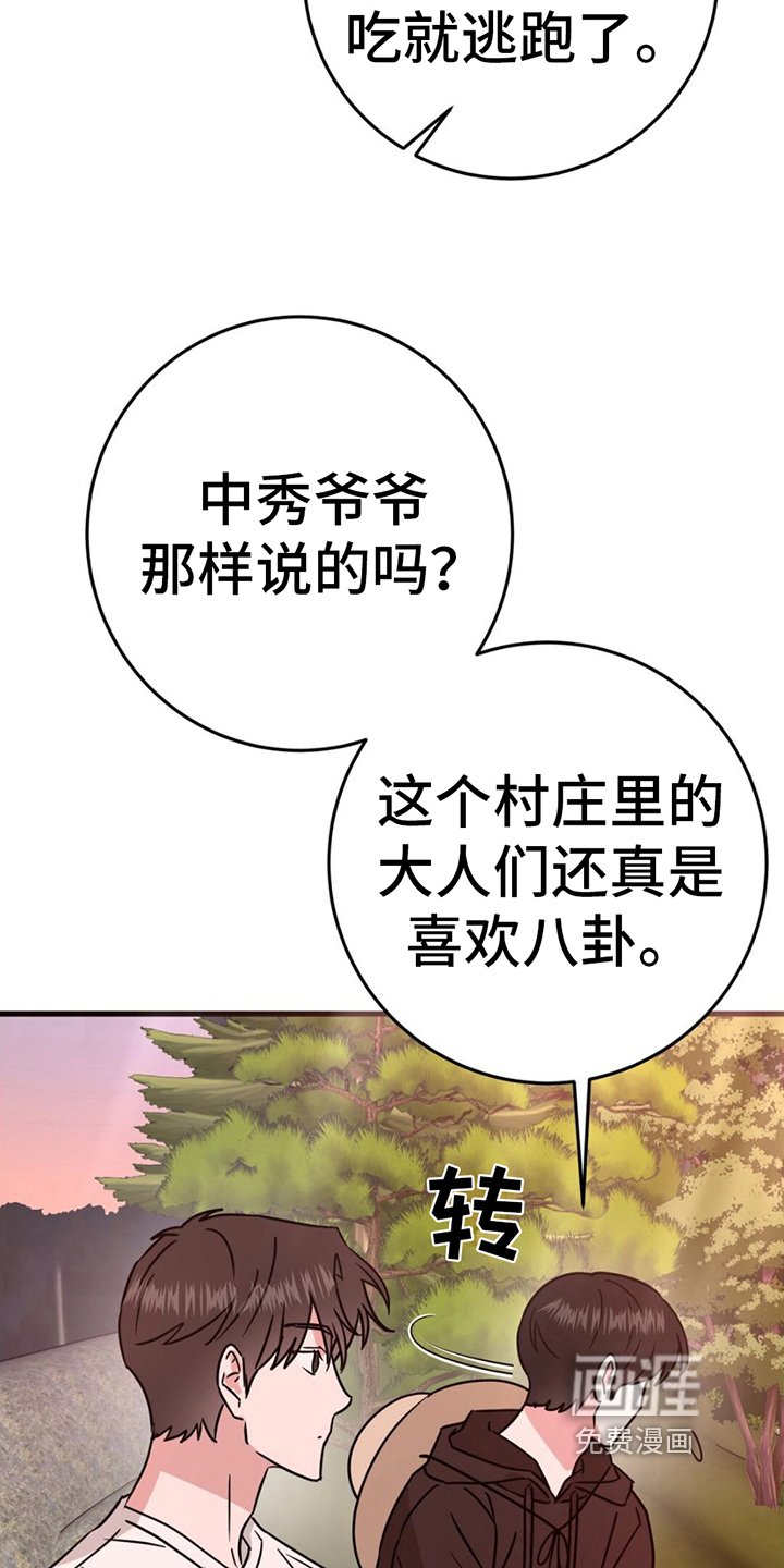 第13章：拍照