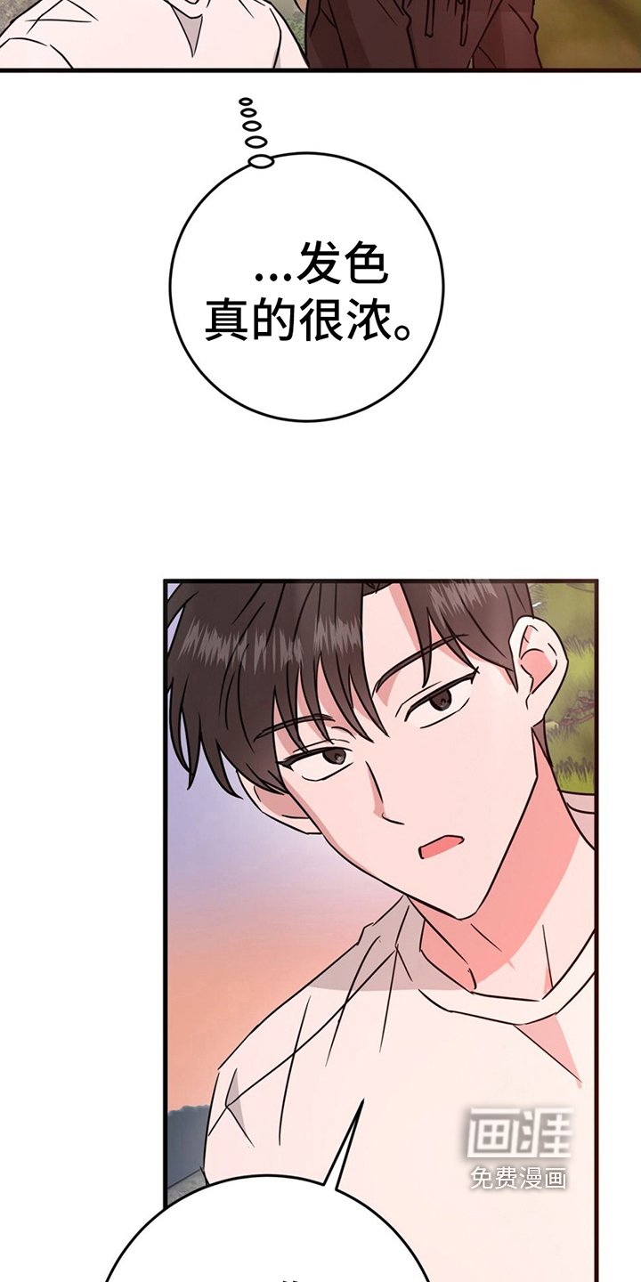 第13章：拍照