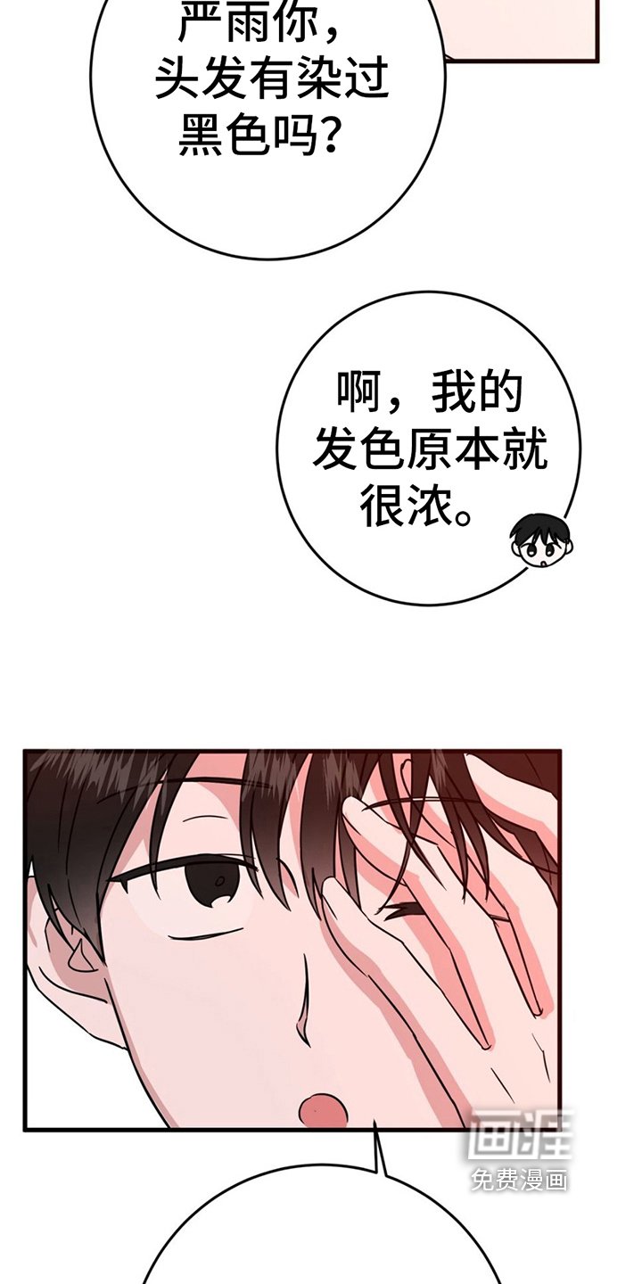 第13章：拍照